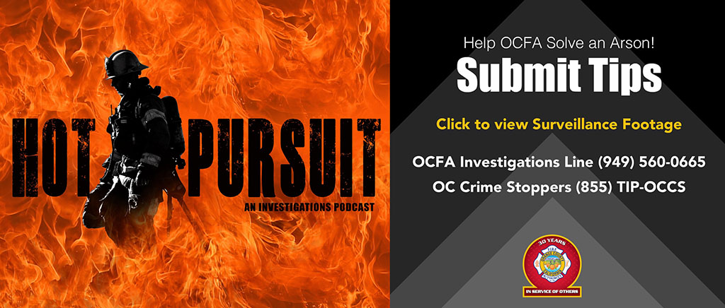 Hot Pursuit - Solve an Arson!